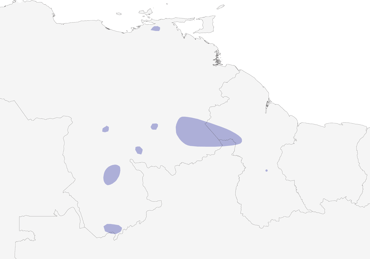Pappagallino dei tepui, Distribuzione 1