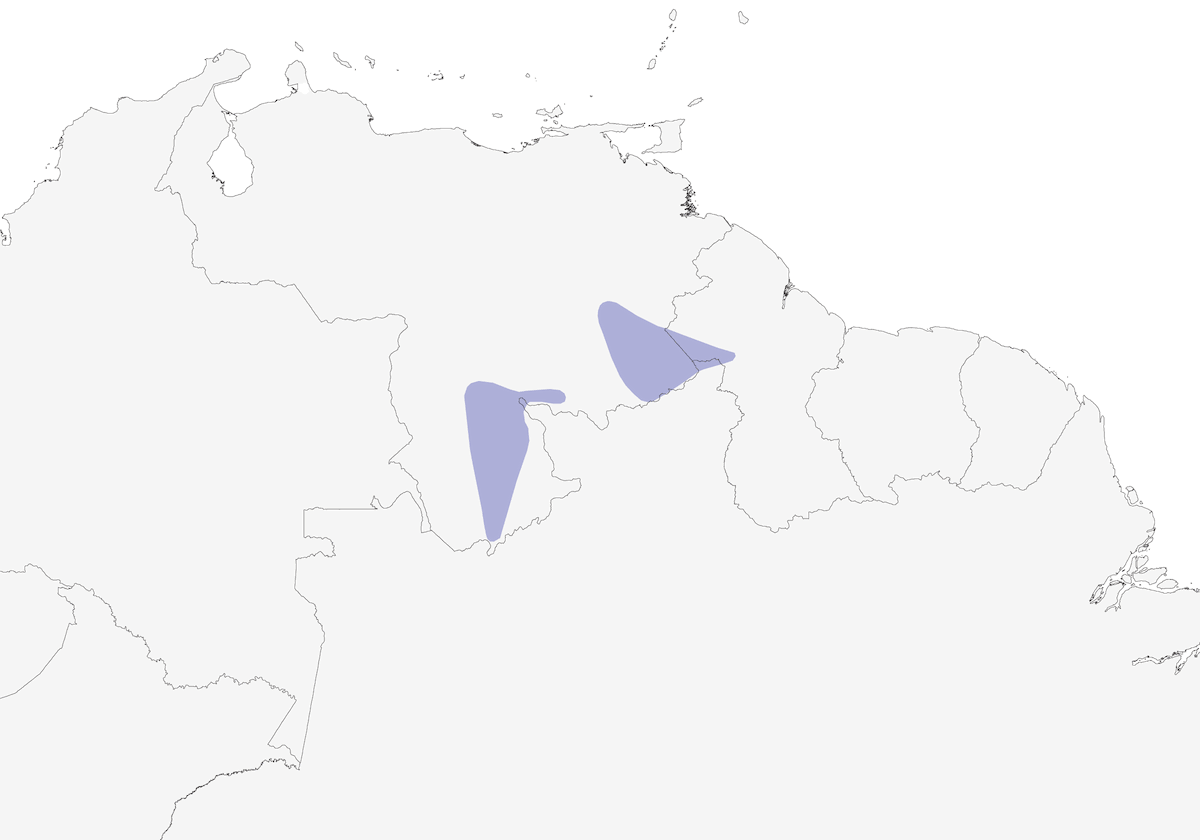 Candelita del Tepuy, Distribución 1