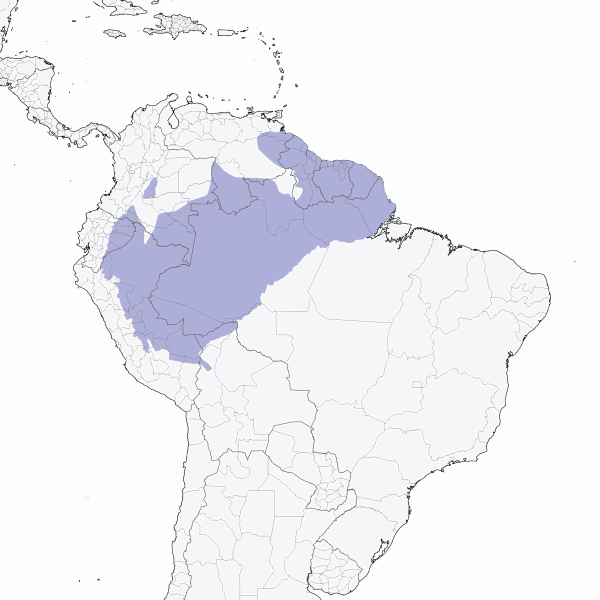 Thrush-like Antpitta, Distribution 1