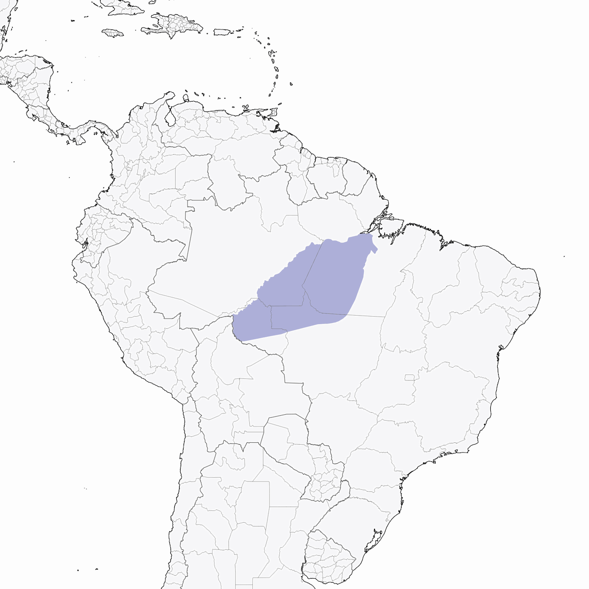 Grallaria del Tapajós, Distribuzione 1