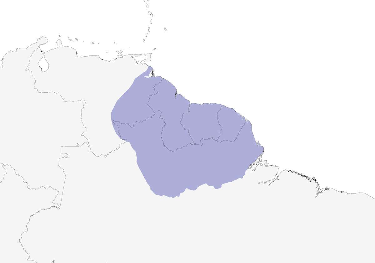 Olivaceous Schiffornis, Distribution 1