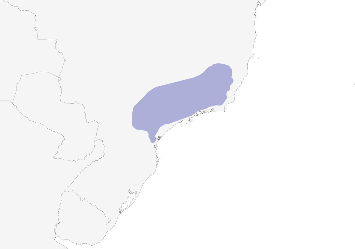Three-toed Jacamar, Distribution 1