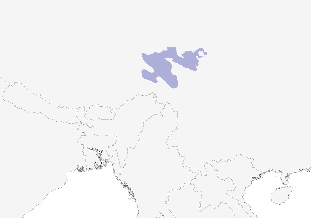 Tibetammer, Verbreitung 1