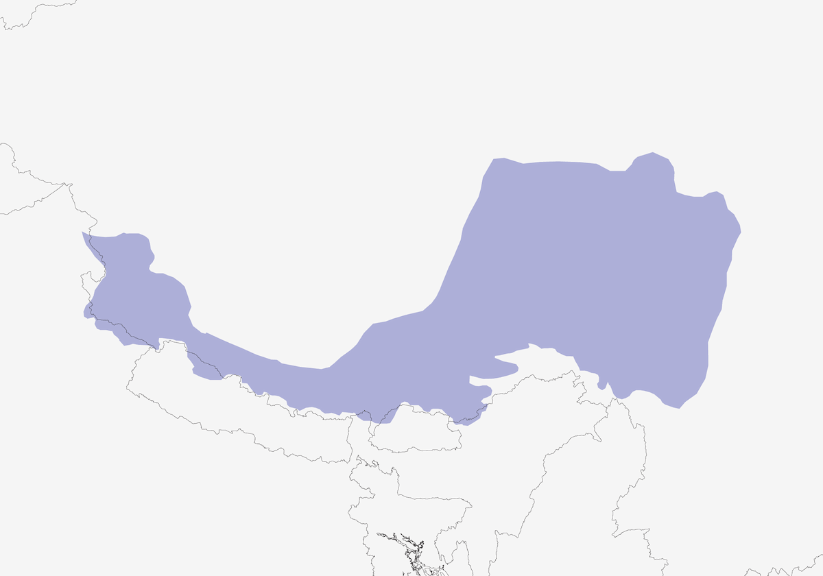 Pernice tibetana, Distribuzione 1
