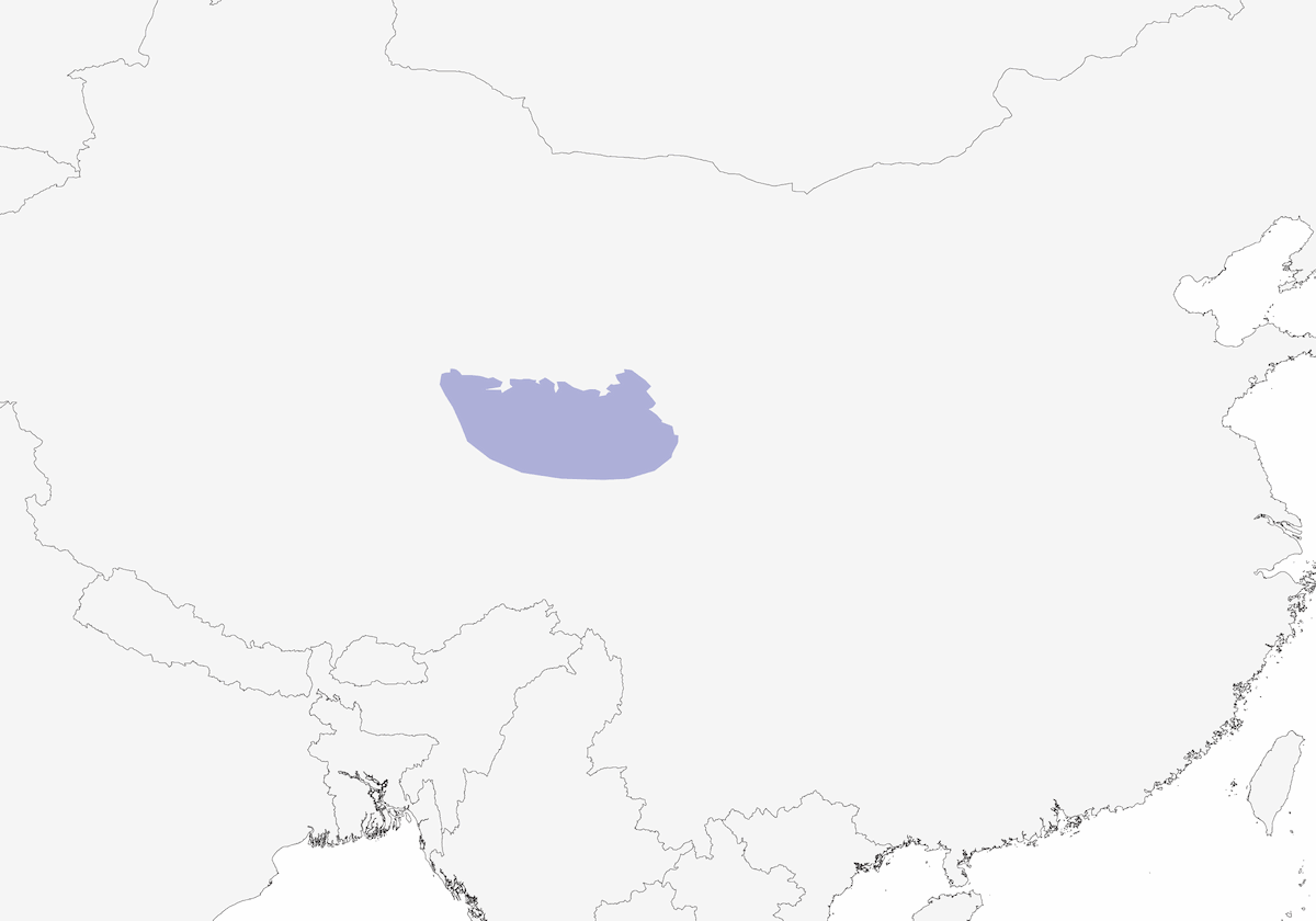 Camachuelo Tibetano, Distribución 1