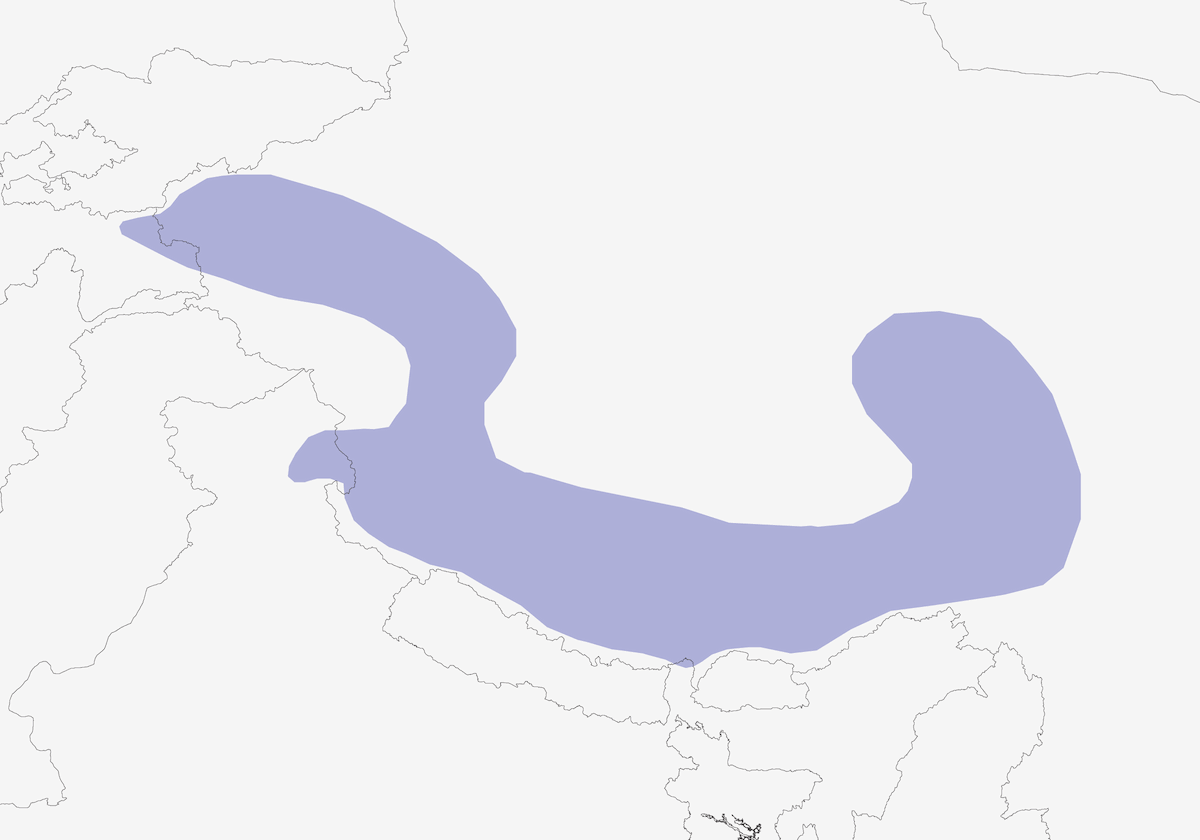 Syrrhapte du Tibet, Distribution 1