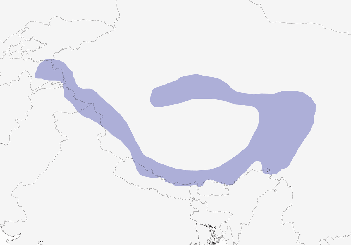 Tibetan Snowcock, Distribution 1