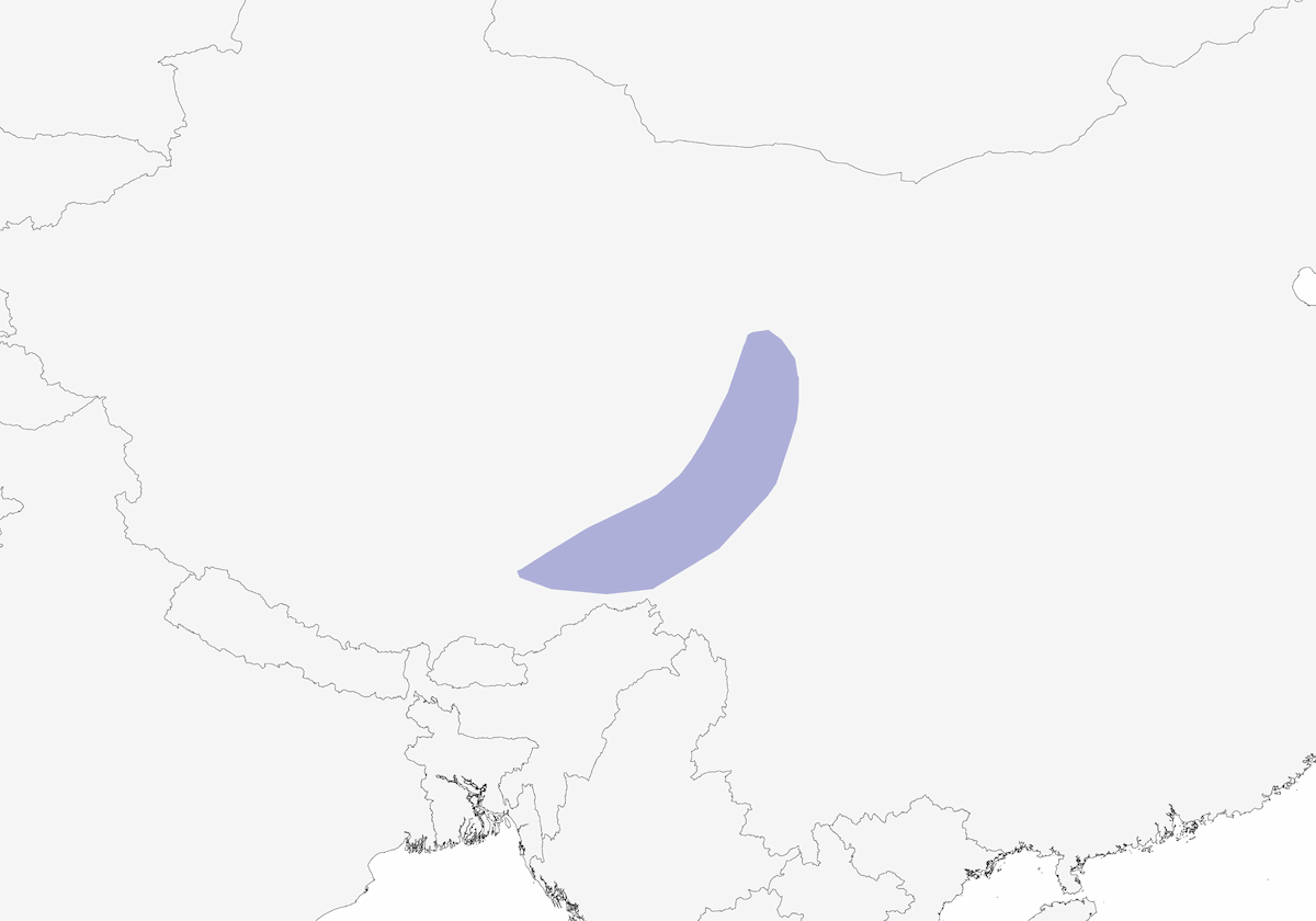 Fringuello delle nevi tibetano, Distribuzione 1