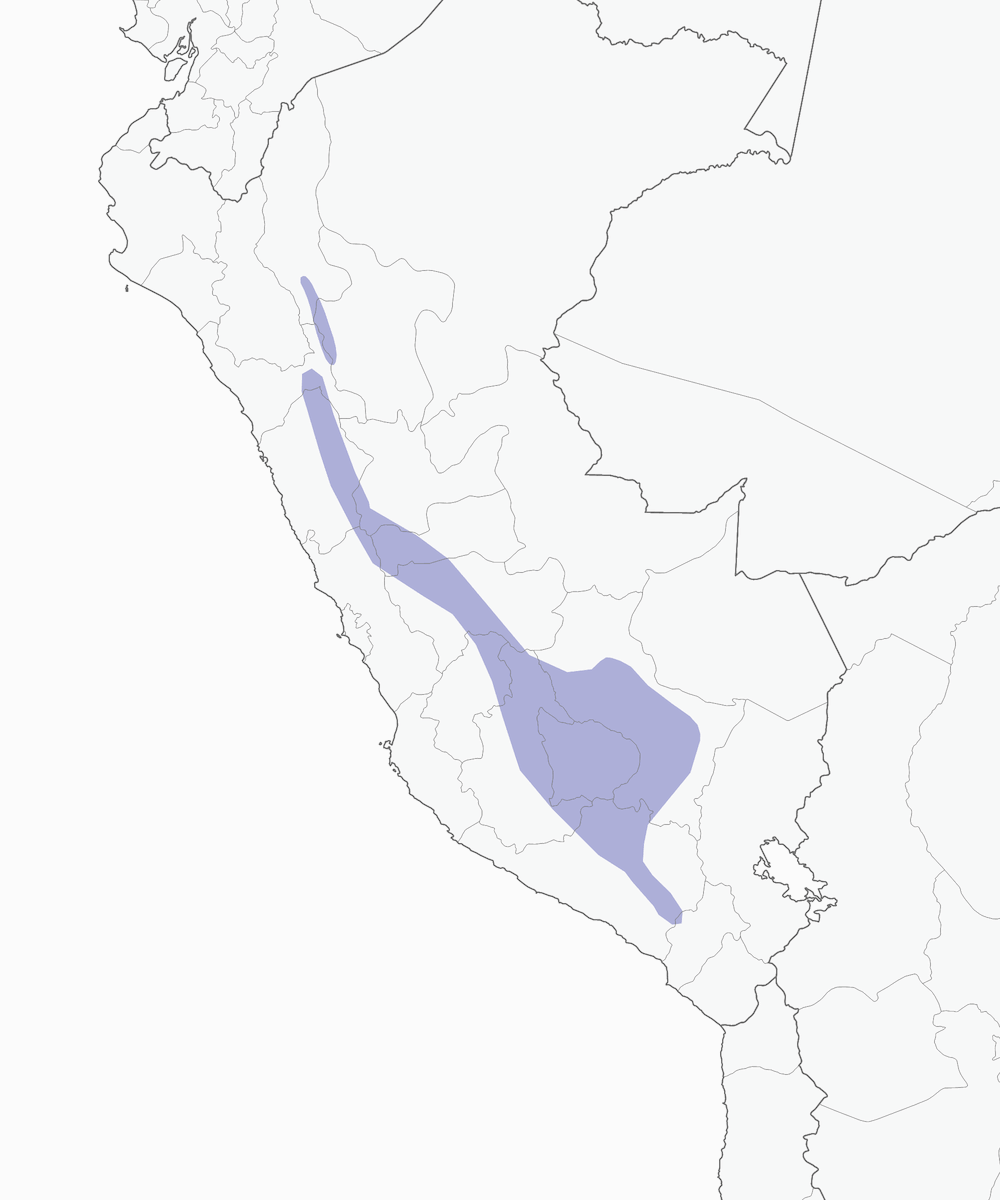 Dacnis Elegante, Distribución 1