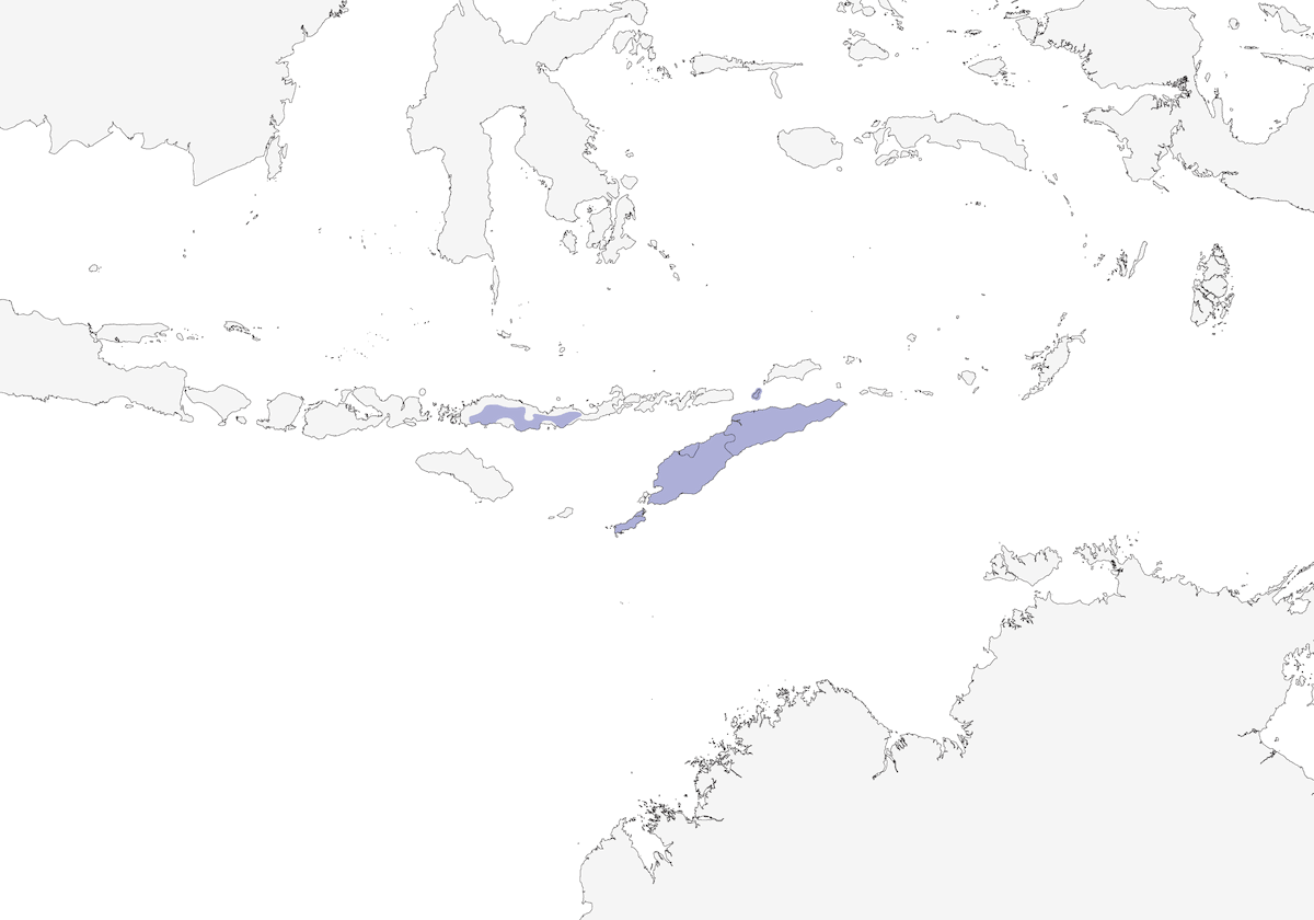 Timor Leaf Warbler, Distribution 1