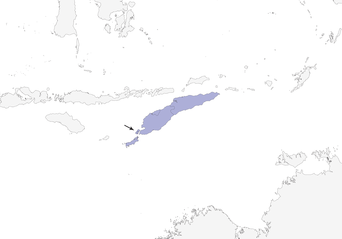 Timor-Buschschmätzer, Verbreitung 1