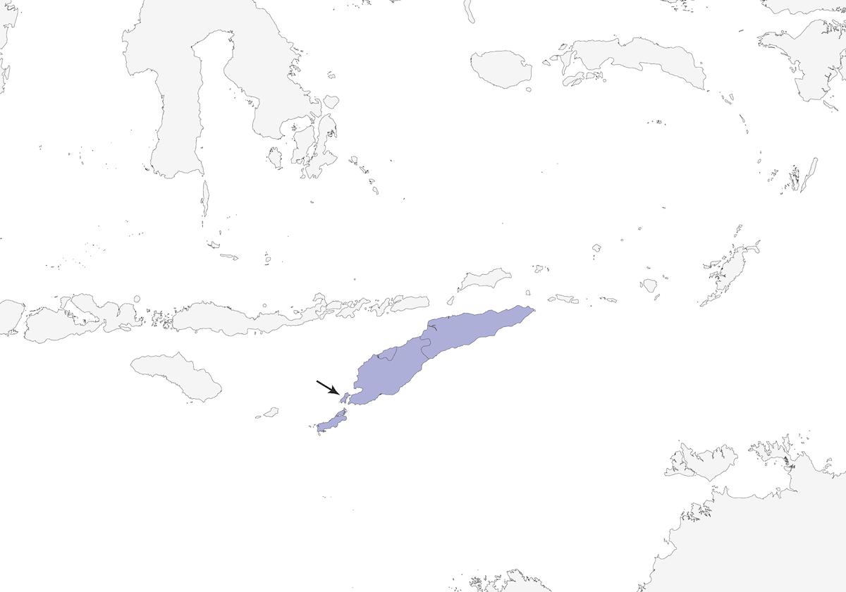 Oropéndola de Timor, Distribución 1