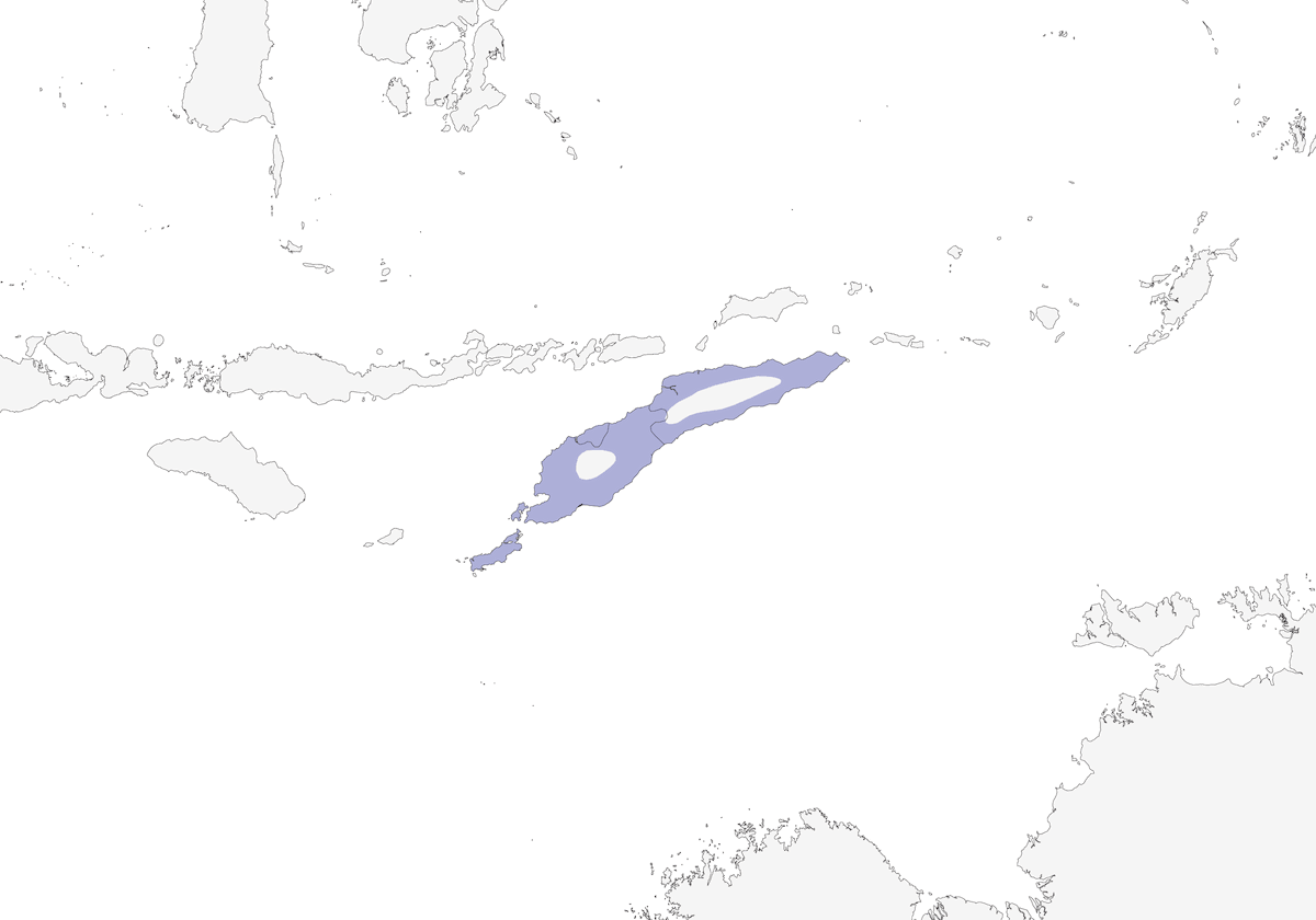 Passero di Timor, Distribuzione 1