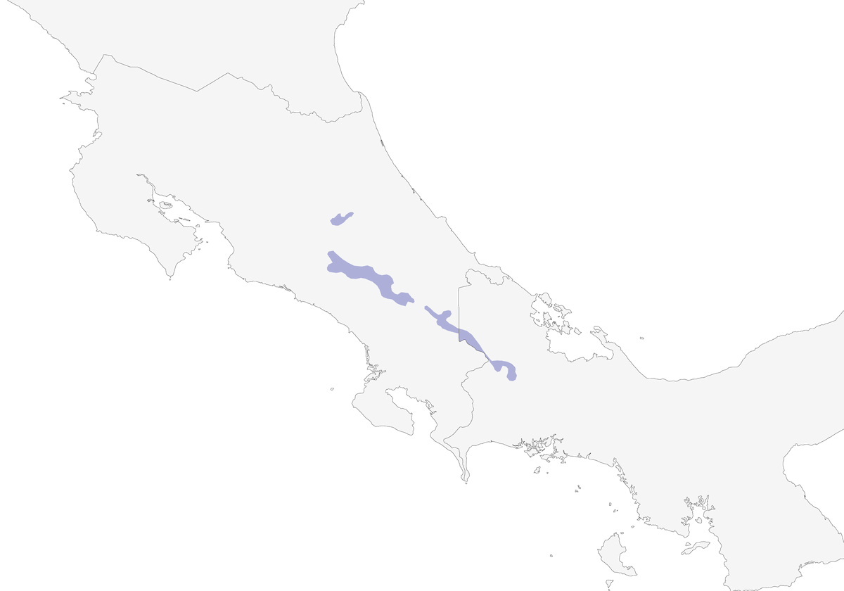 Timberline Wren, Distribution 1