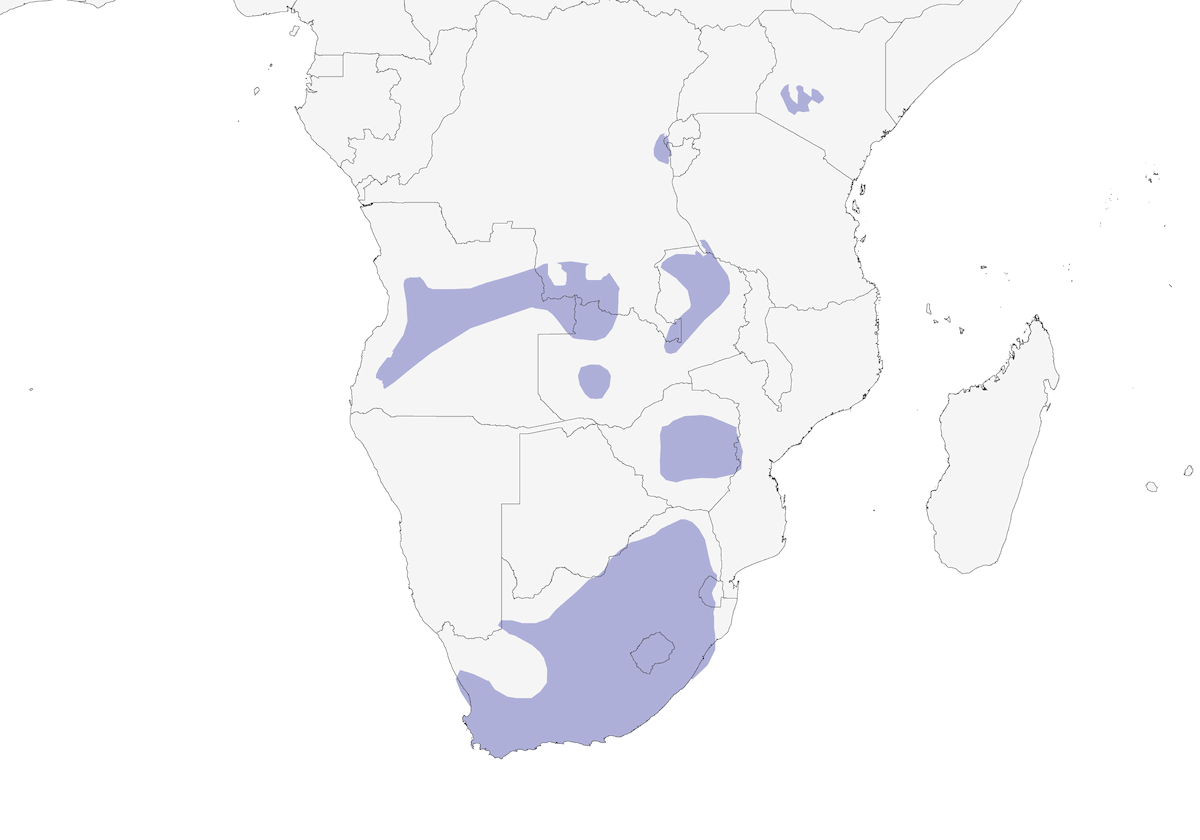 Levaillant's Cisticola, Distribution 1