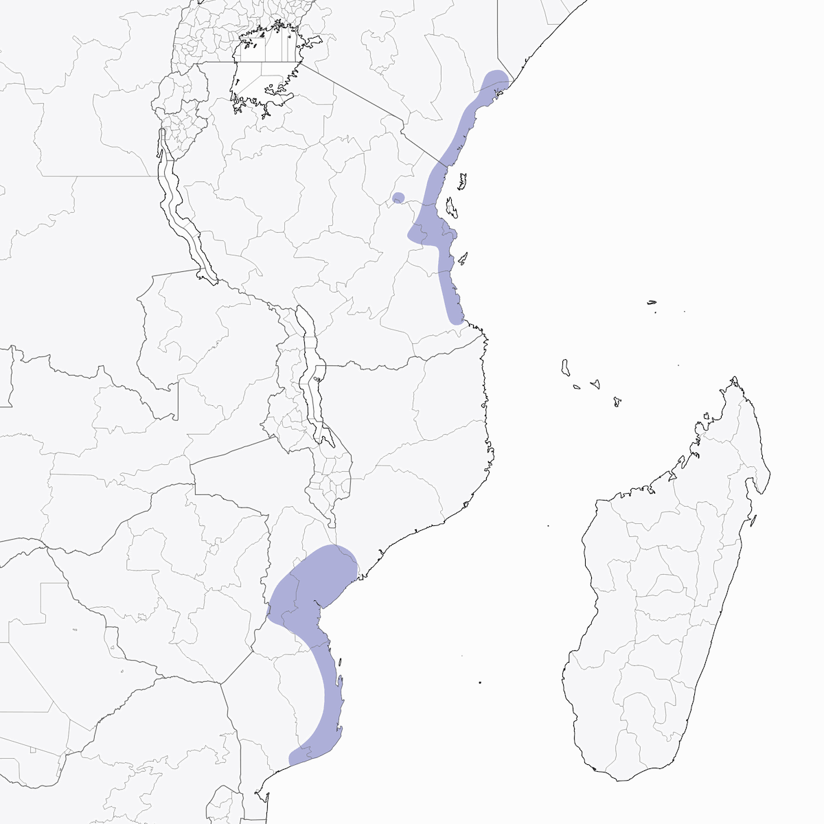 Tiny Greenbul, Distribution 1