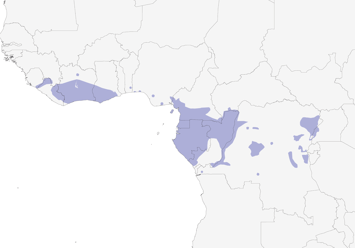 Nettarinia minuscola, Distribuzione 1