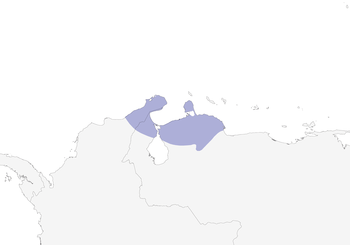 Tocuyo Sparrow, Distribution 1