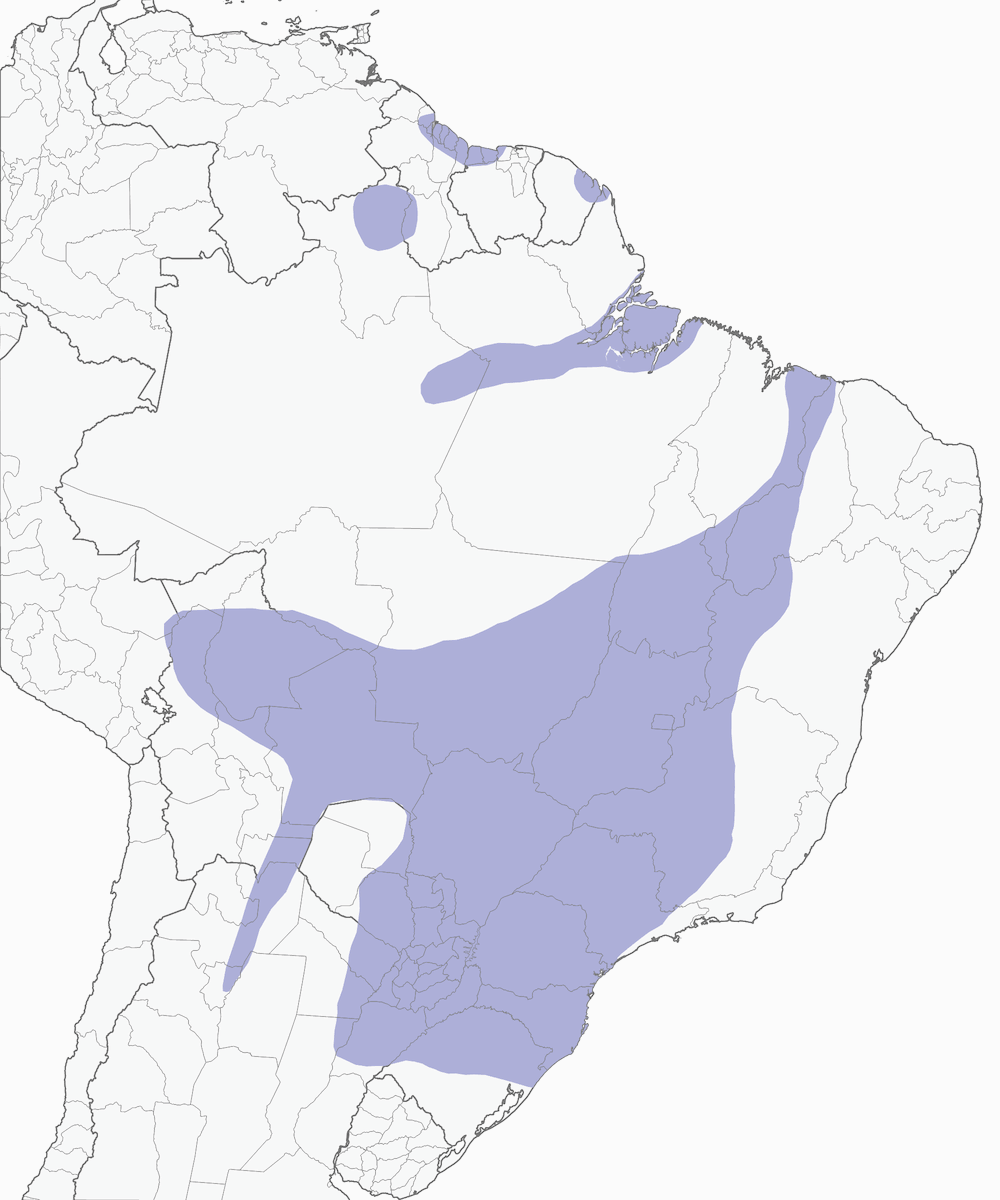 Toucan toco, Distribution 1