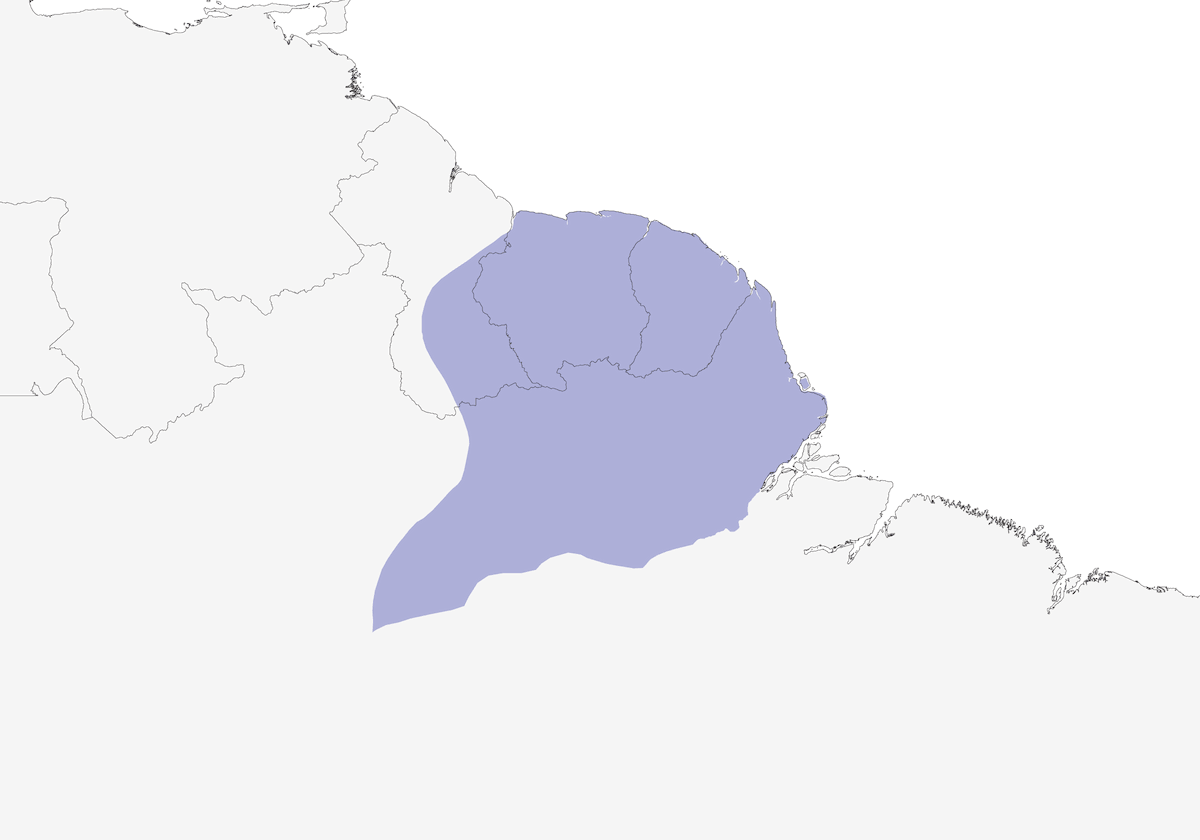 Siristes de Todd, Distribución 1