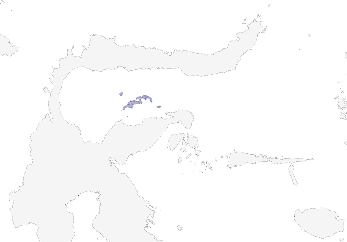 Bulbul dorato delle Togian, Distribuzione 1