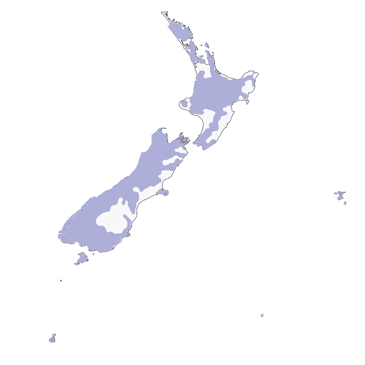 Petroica cabezona, Distribución 1