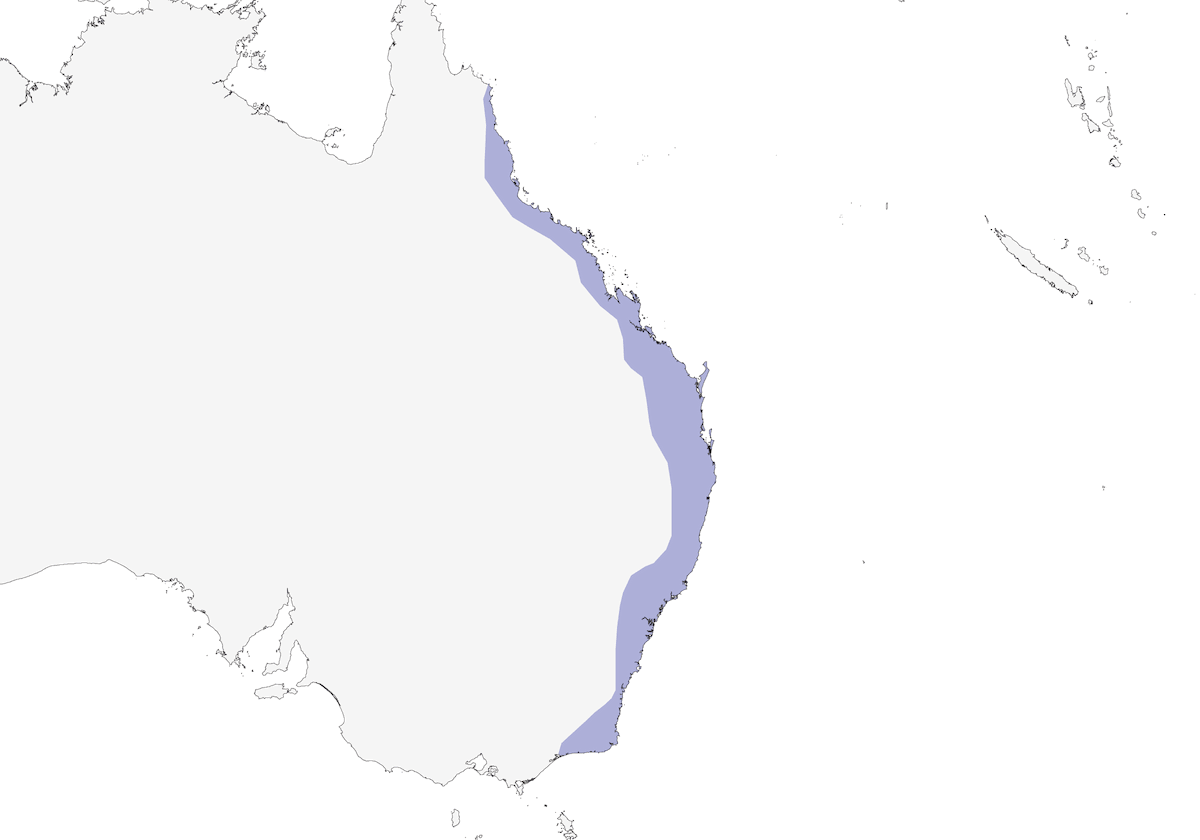Topknot Pigeon, Distribution 1