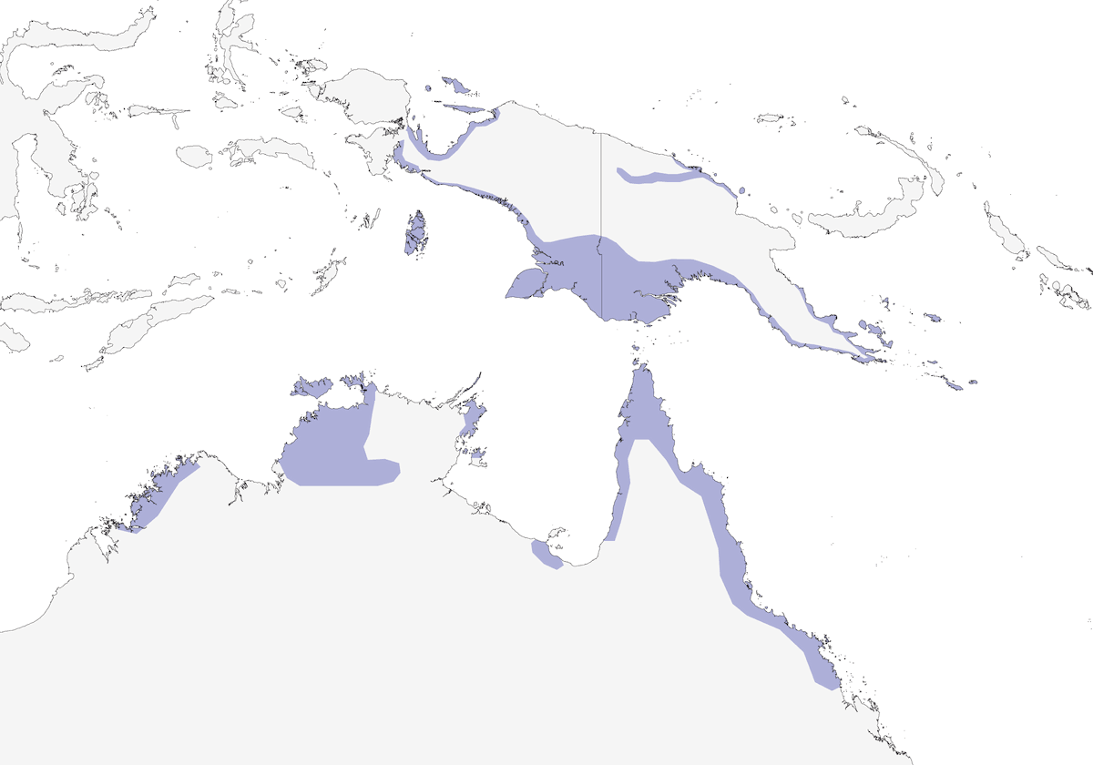 Colombo imperiale di Torres, Distribuzione 1