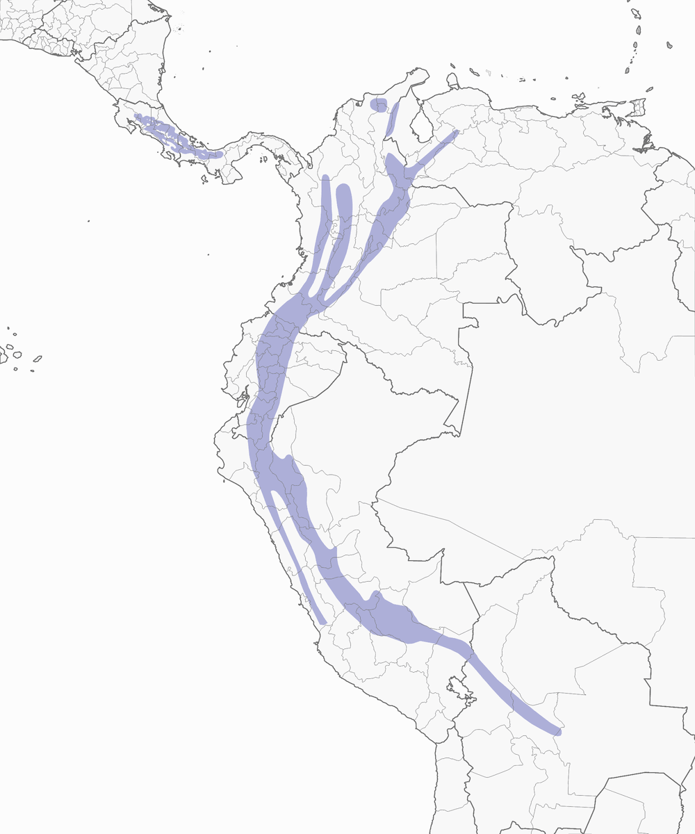 Torrent Tyrannulet, Distribution 1