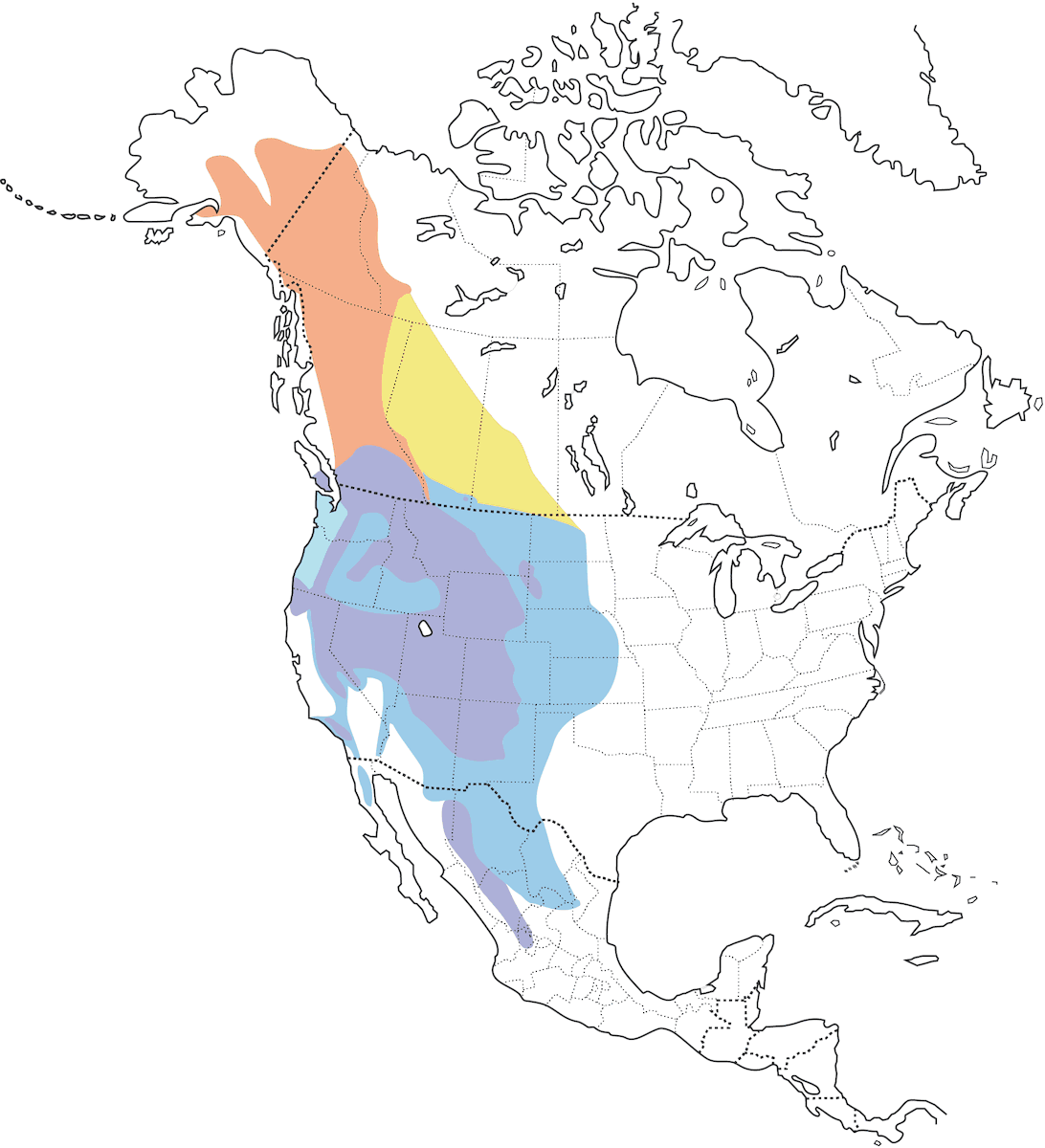 Townsend's Solitaire, Distribution 1