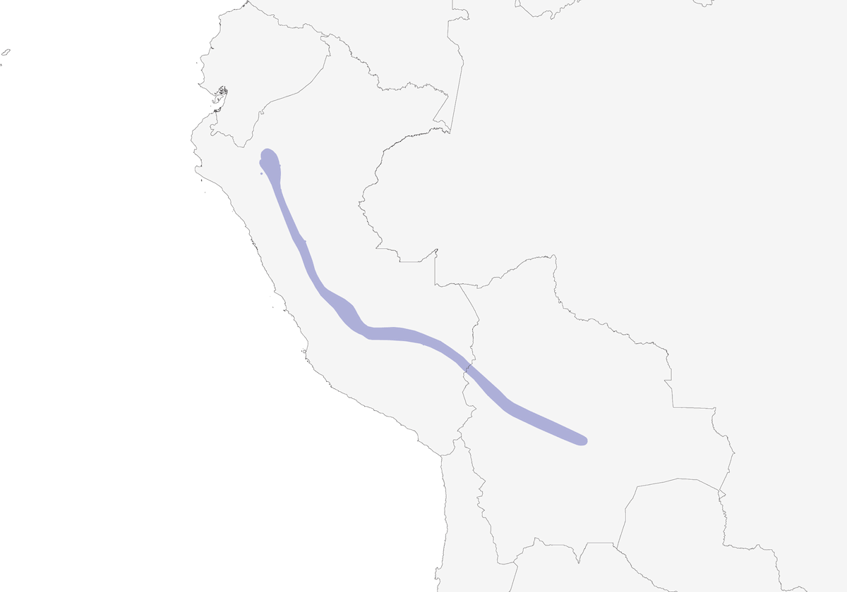 Tapaculo trino, Distribución 1