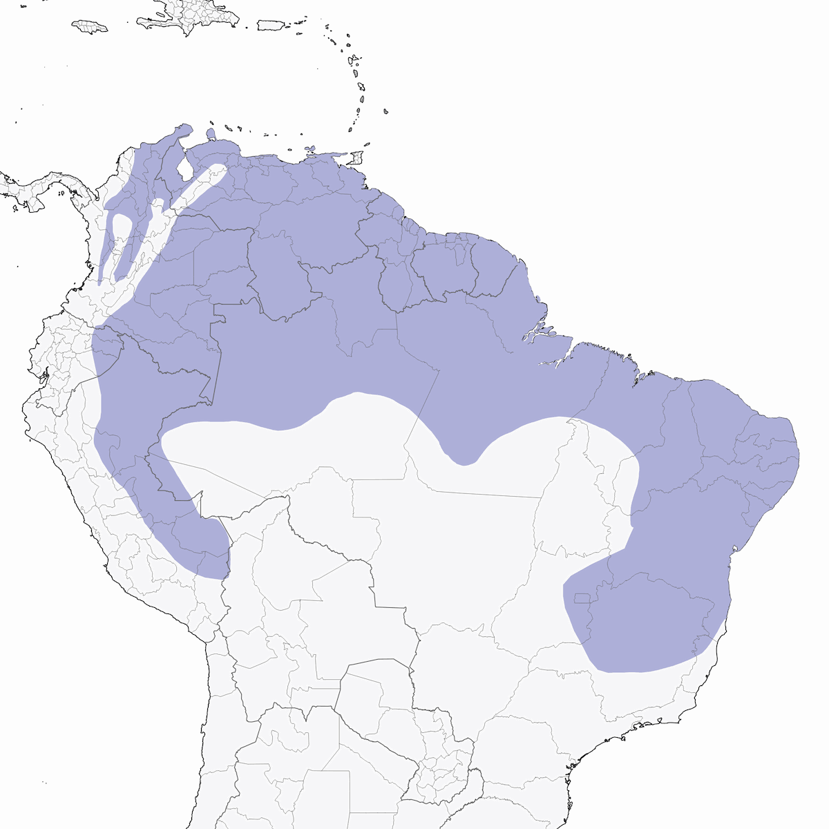 Perlita Tropical, Distribución 1