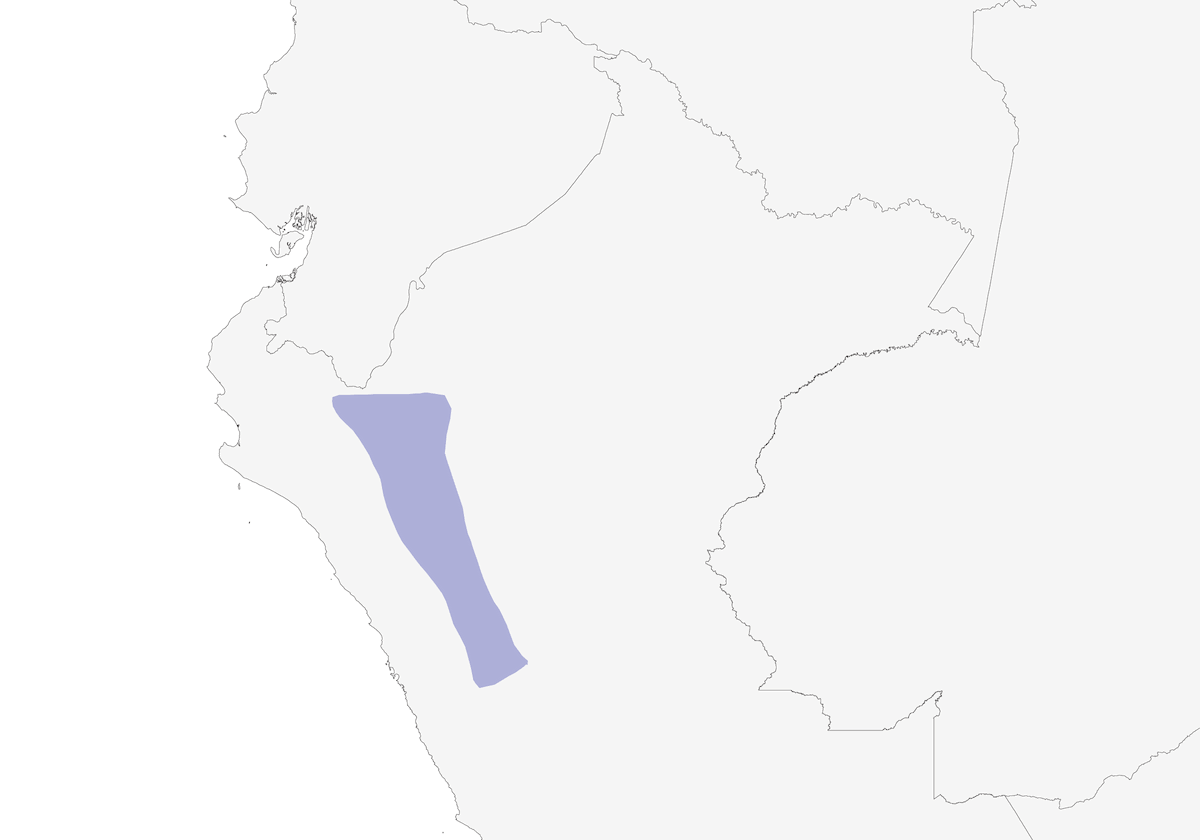 Beccamoschino di Maranon, Distribuzione 1