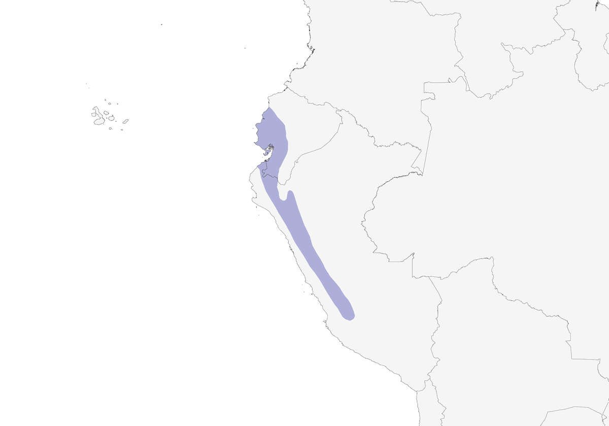 Tumbes-Pewee, Verbreitung 1