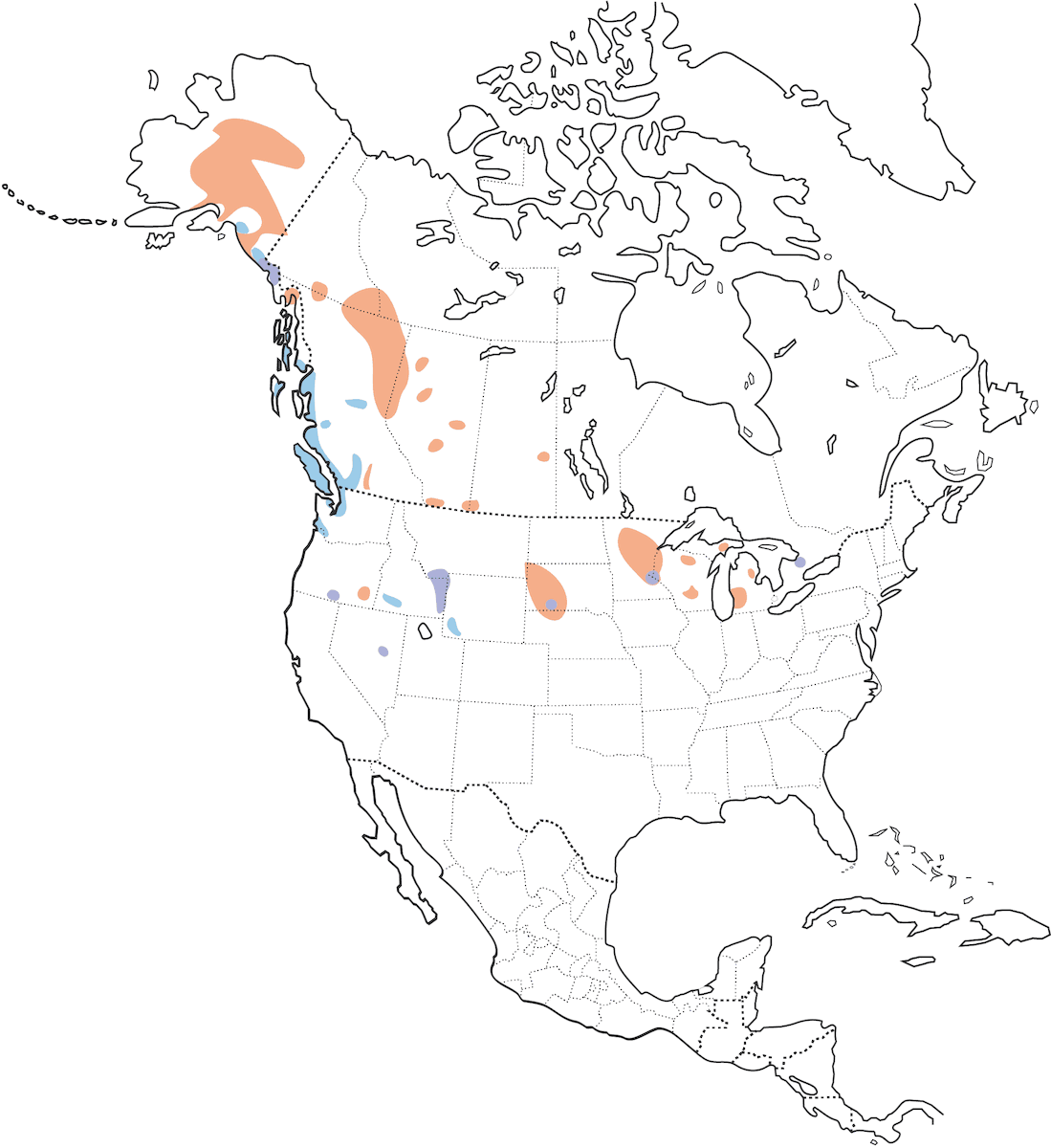 Trumpeter Swan, Distribution 1