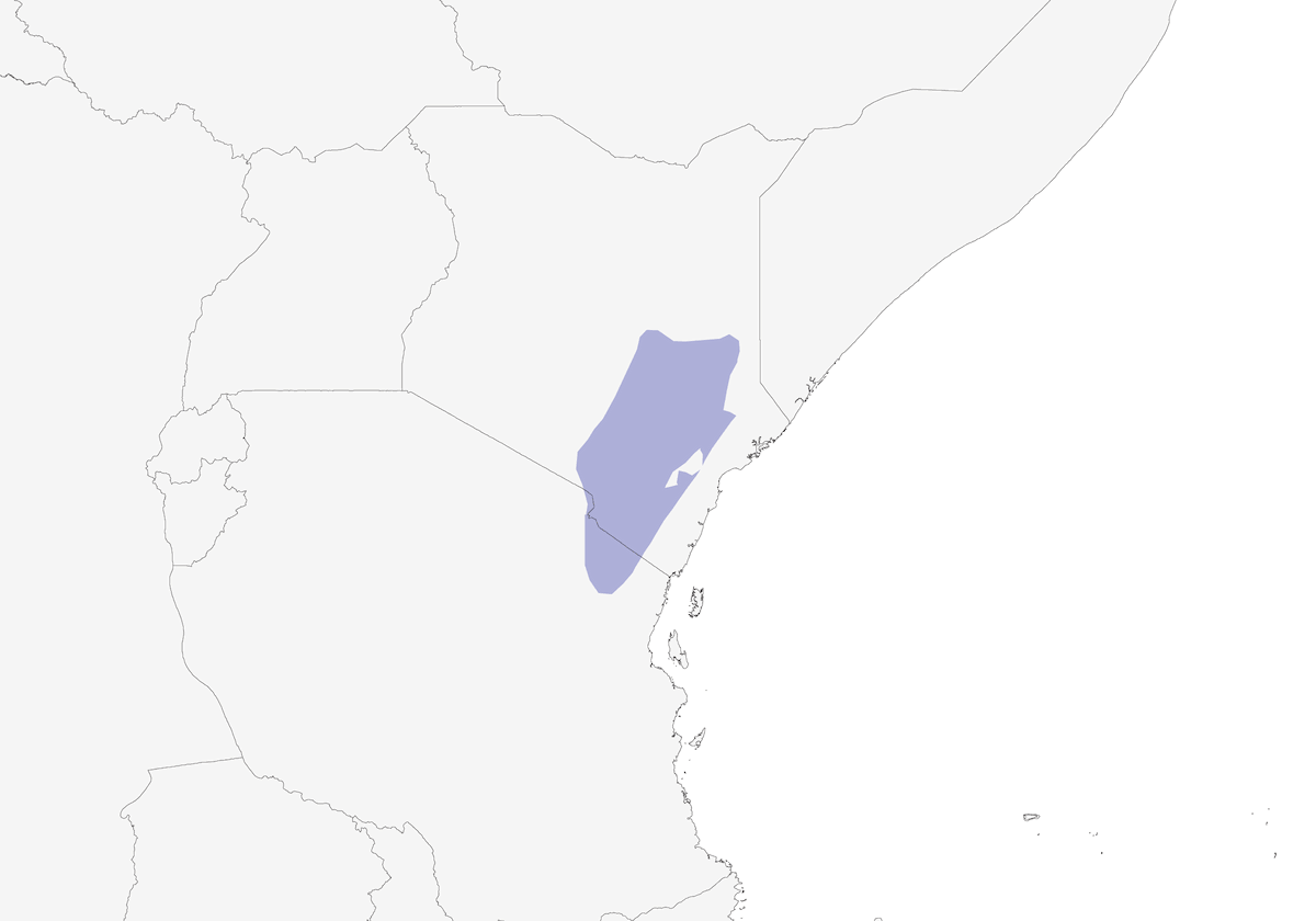 Tsavo Sunbird, Distribution 1