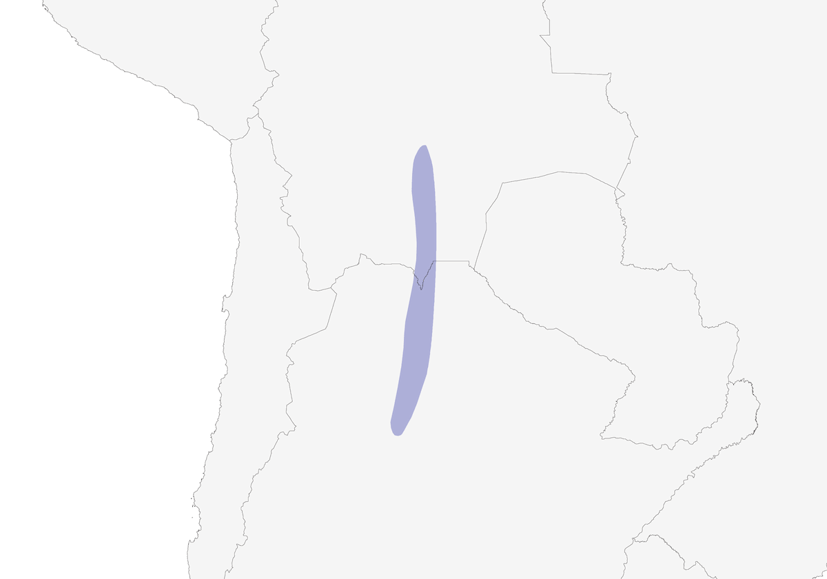 Tucumán-Amazone, Verbreitung 1