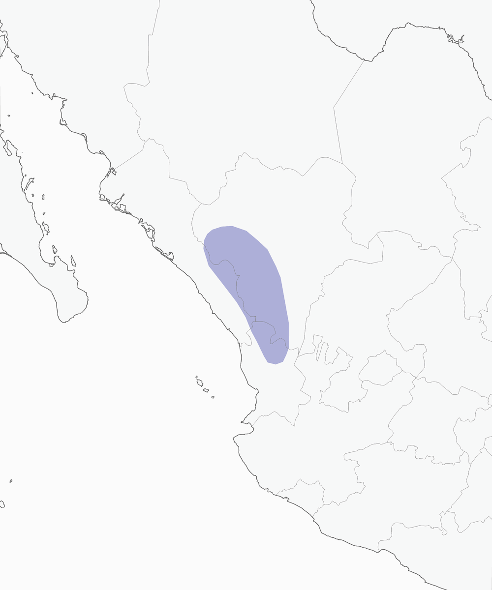 Ghiandaia ciuffata, Distribuzione 1
