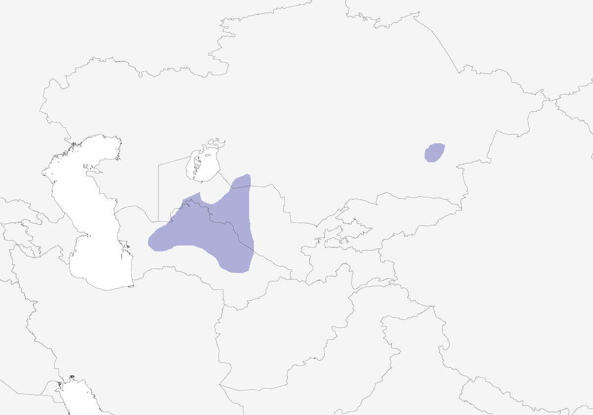 Turkestan Ground-Jay, 分布 1