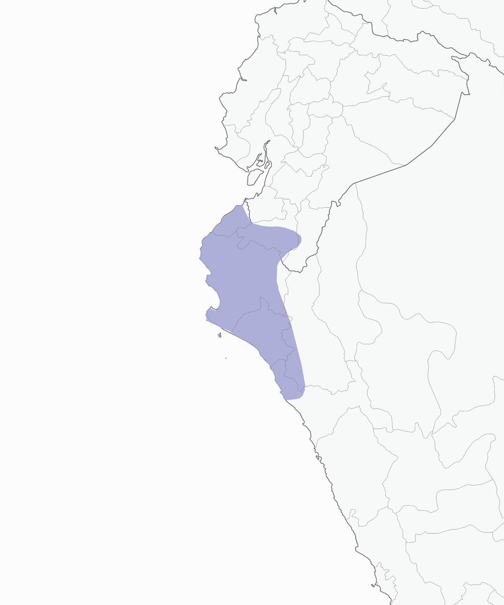 Moineau de Tumbes, Distribution 1