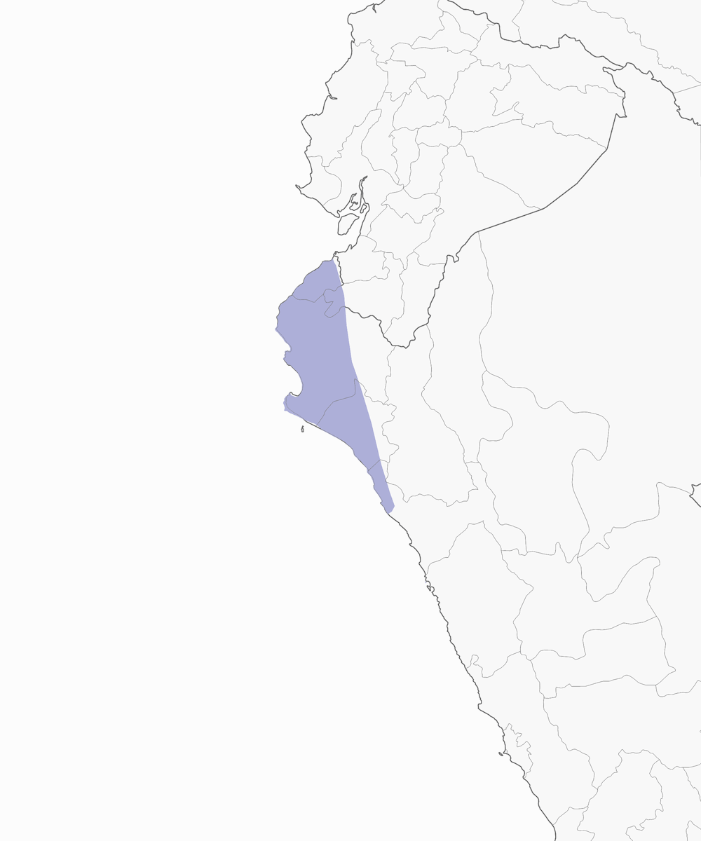 Rondine di Tumbes, Distribuzione 1