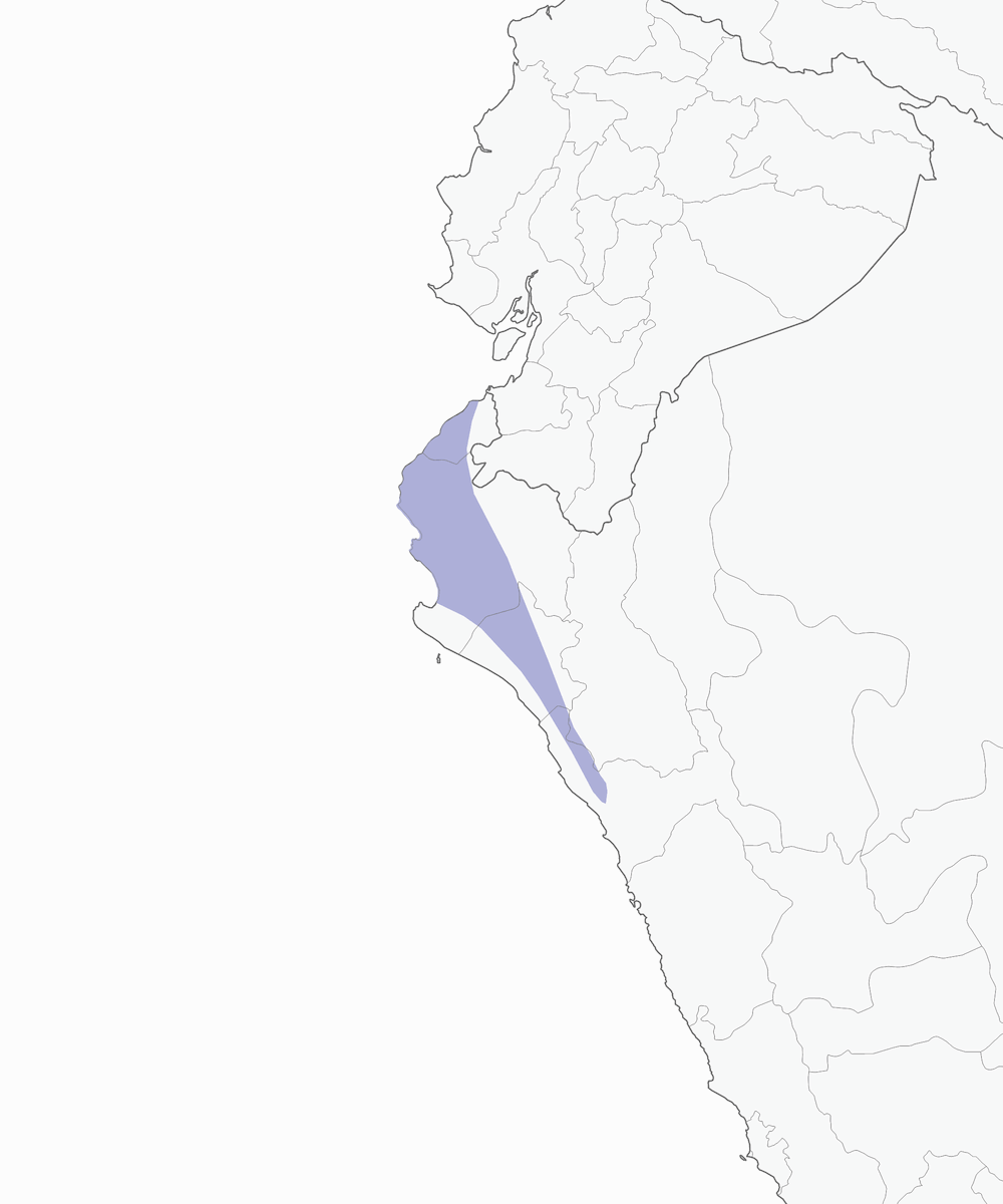 Tiranolete de Tumbes, Distribución 1