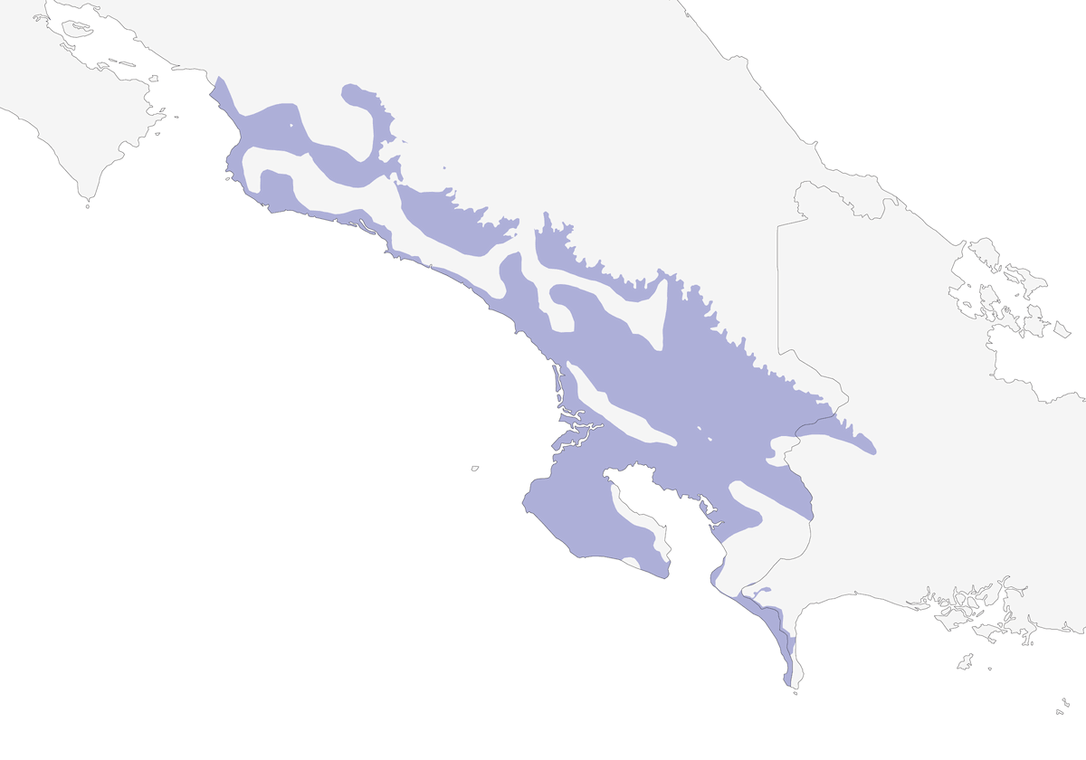 Cotinga turchese, Distribuzione 1