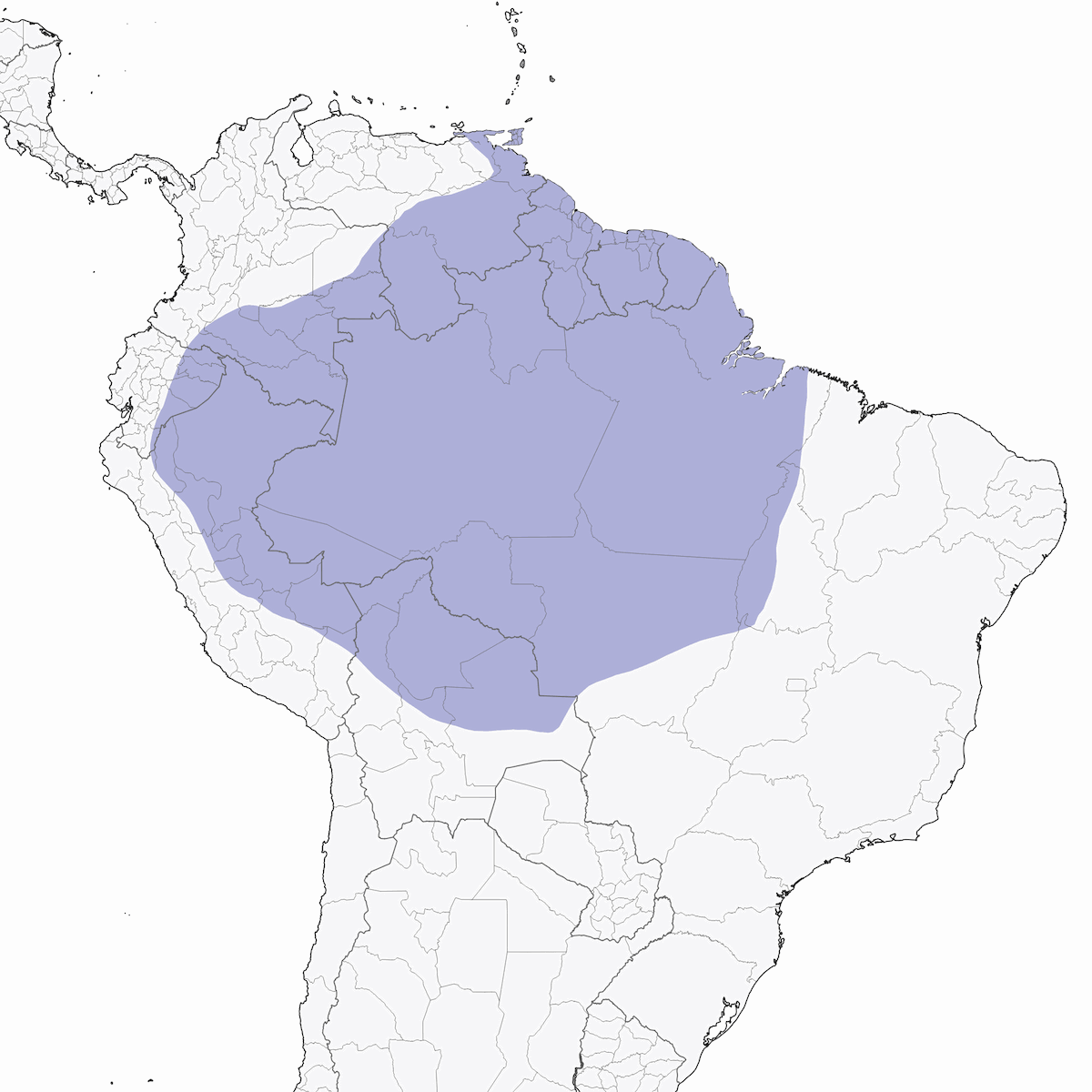 Tangara Turquesa, Distribución 1