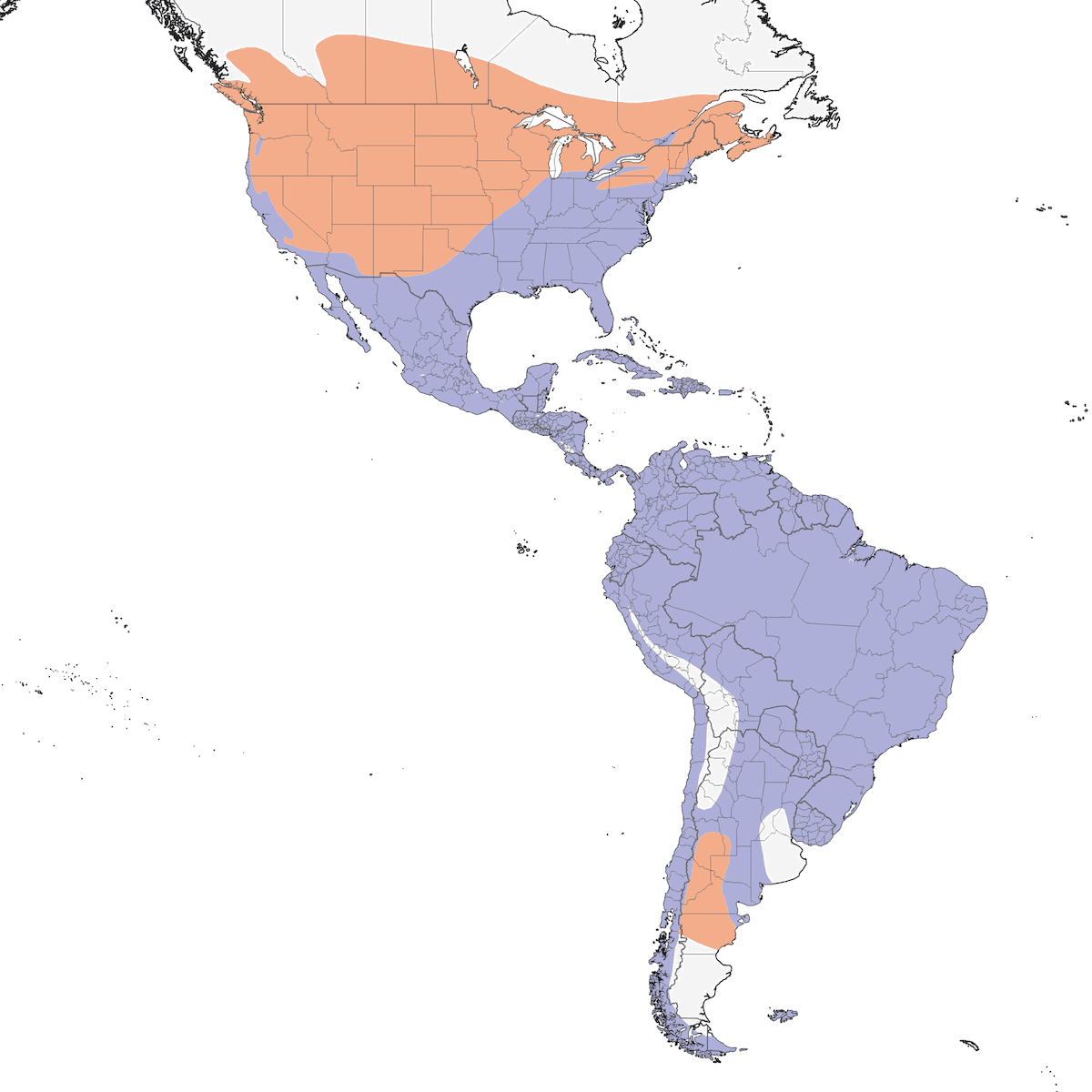 Buitre Aura, Distribución 1