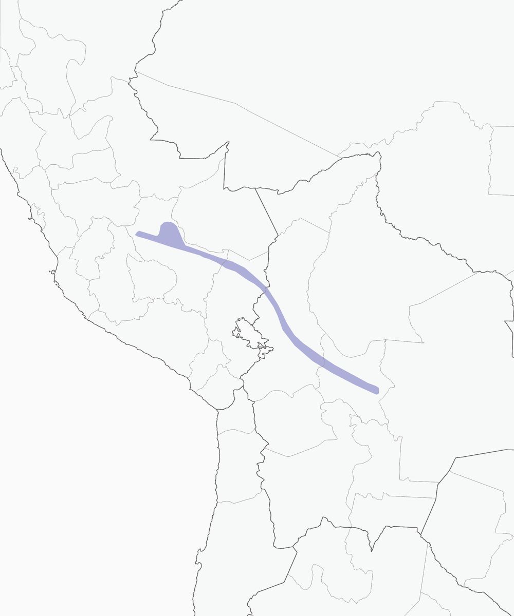 Mosquero Sencillo, Distribución 1