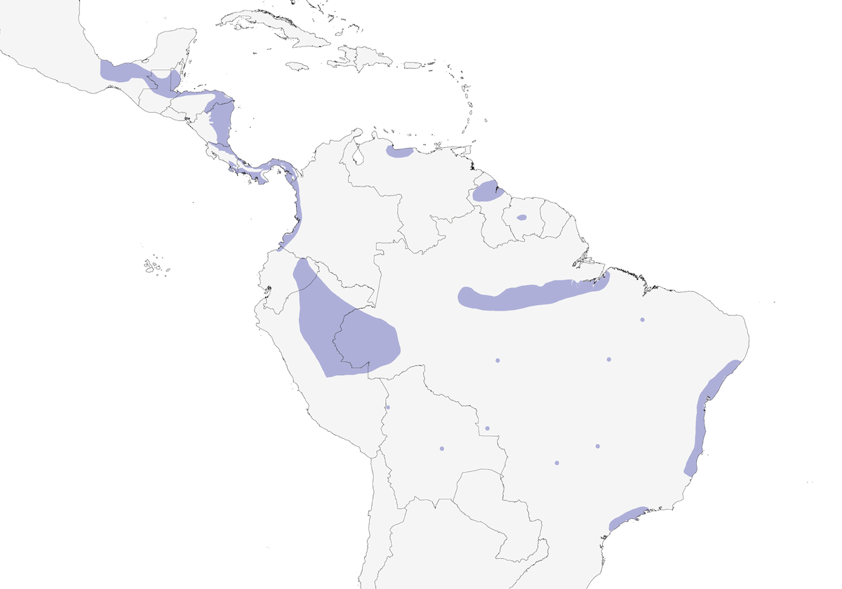 Porzana unicolore, Distribuzione 1
