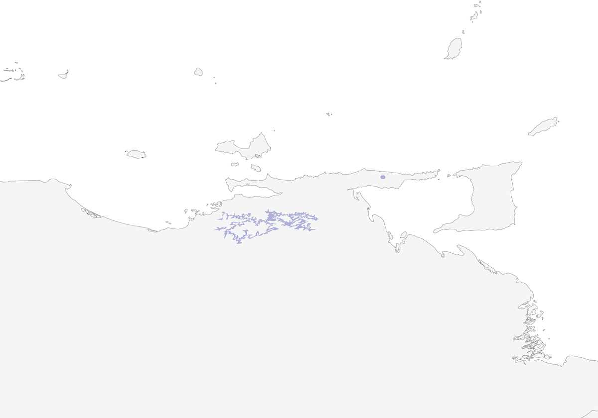 Tyranneau d'Urich, Distribution 1
