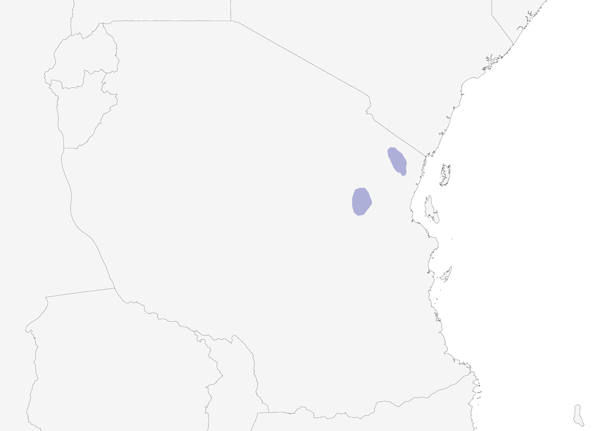 Bulbul de Usambara, Distribución 1