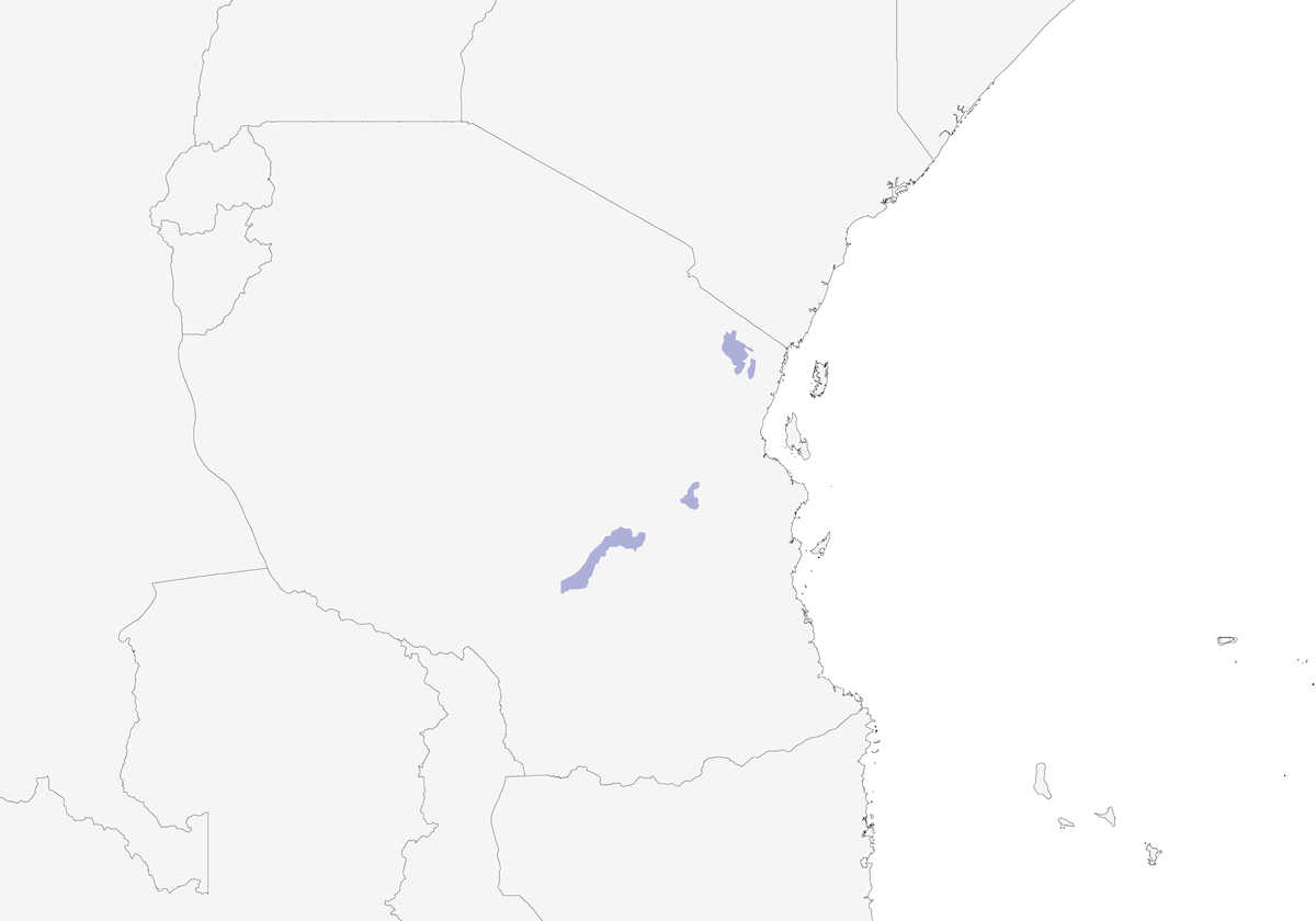 Usambara Weaver, 分布 1